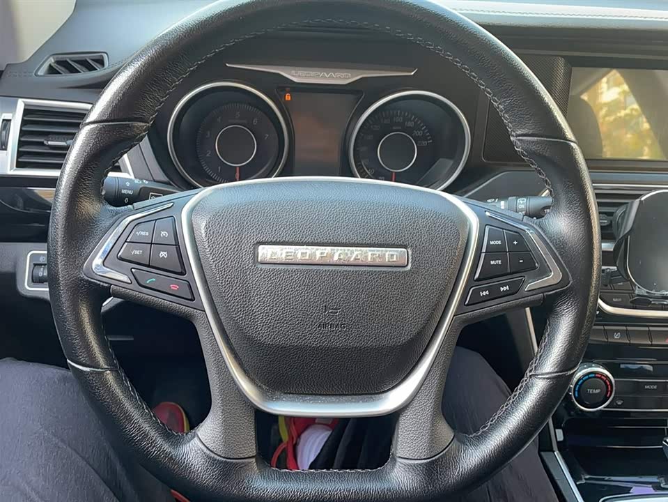 Leopaard Cheetah CS10