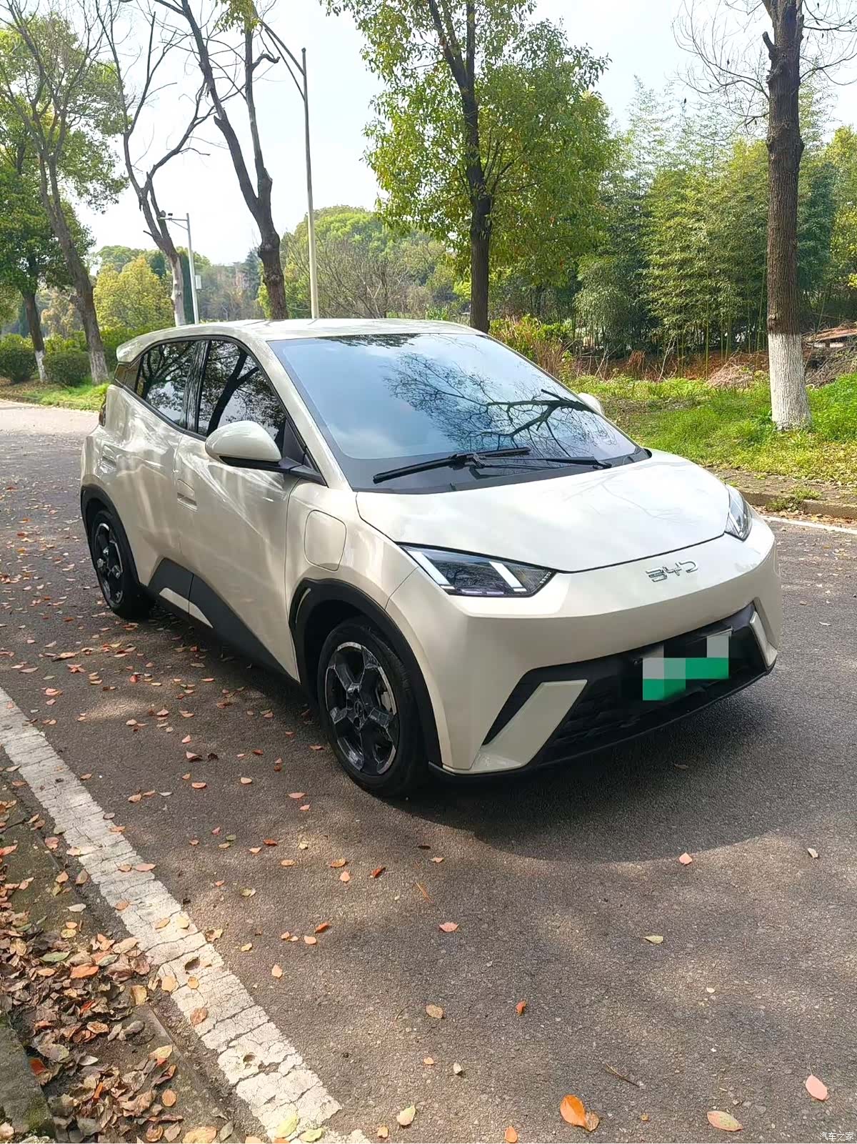 BYD Seagull, 2024 2