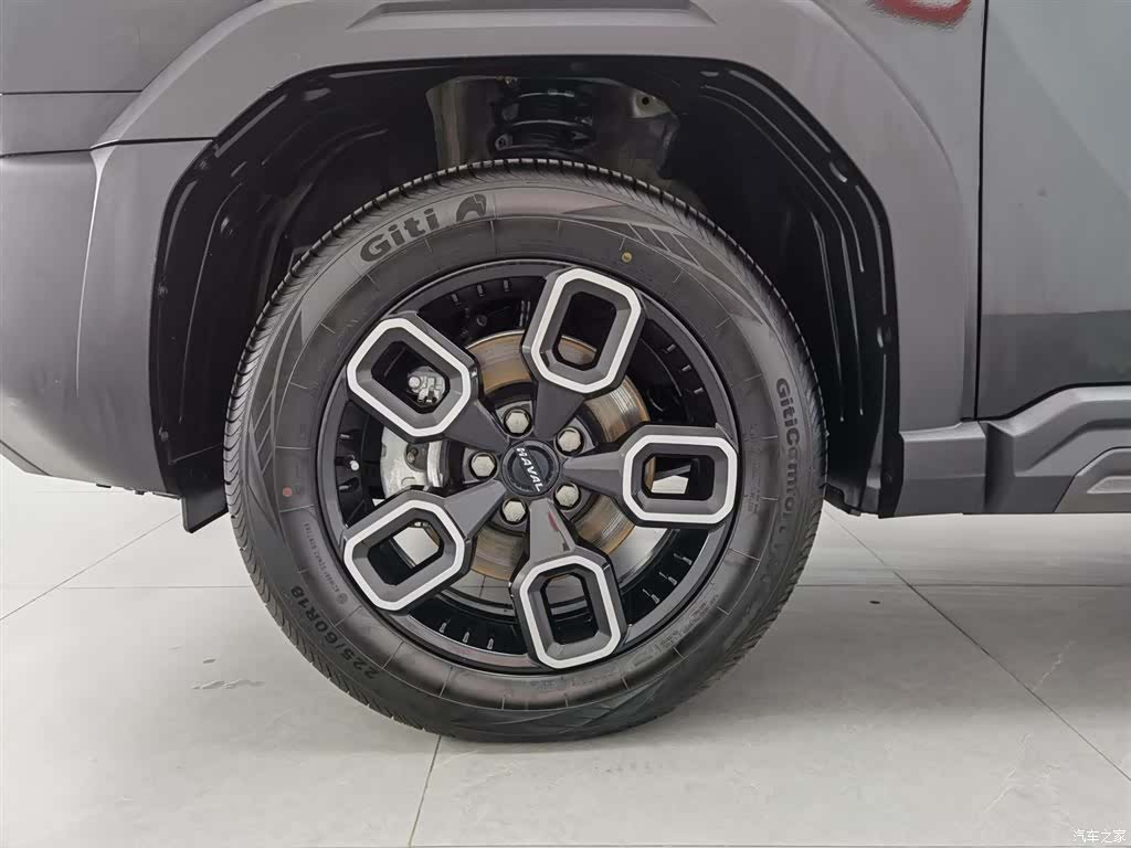 Haval Cool Dog, 2023 17