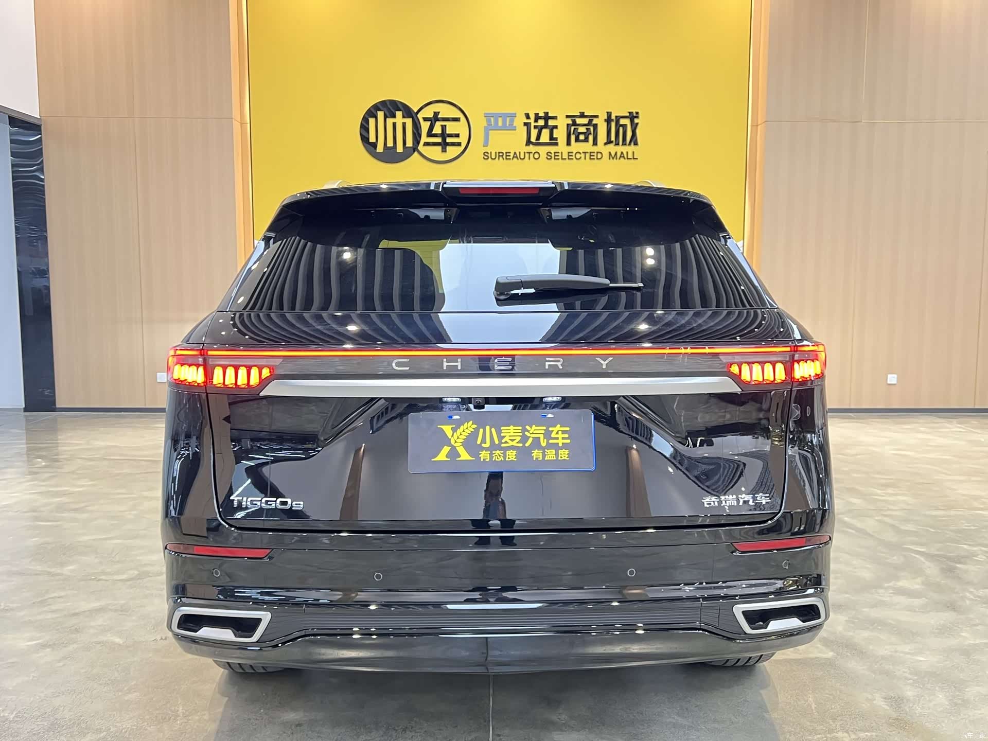Chery Tiggo 9, 2025 все фото