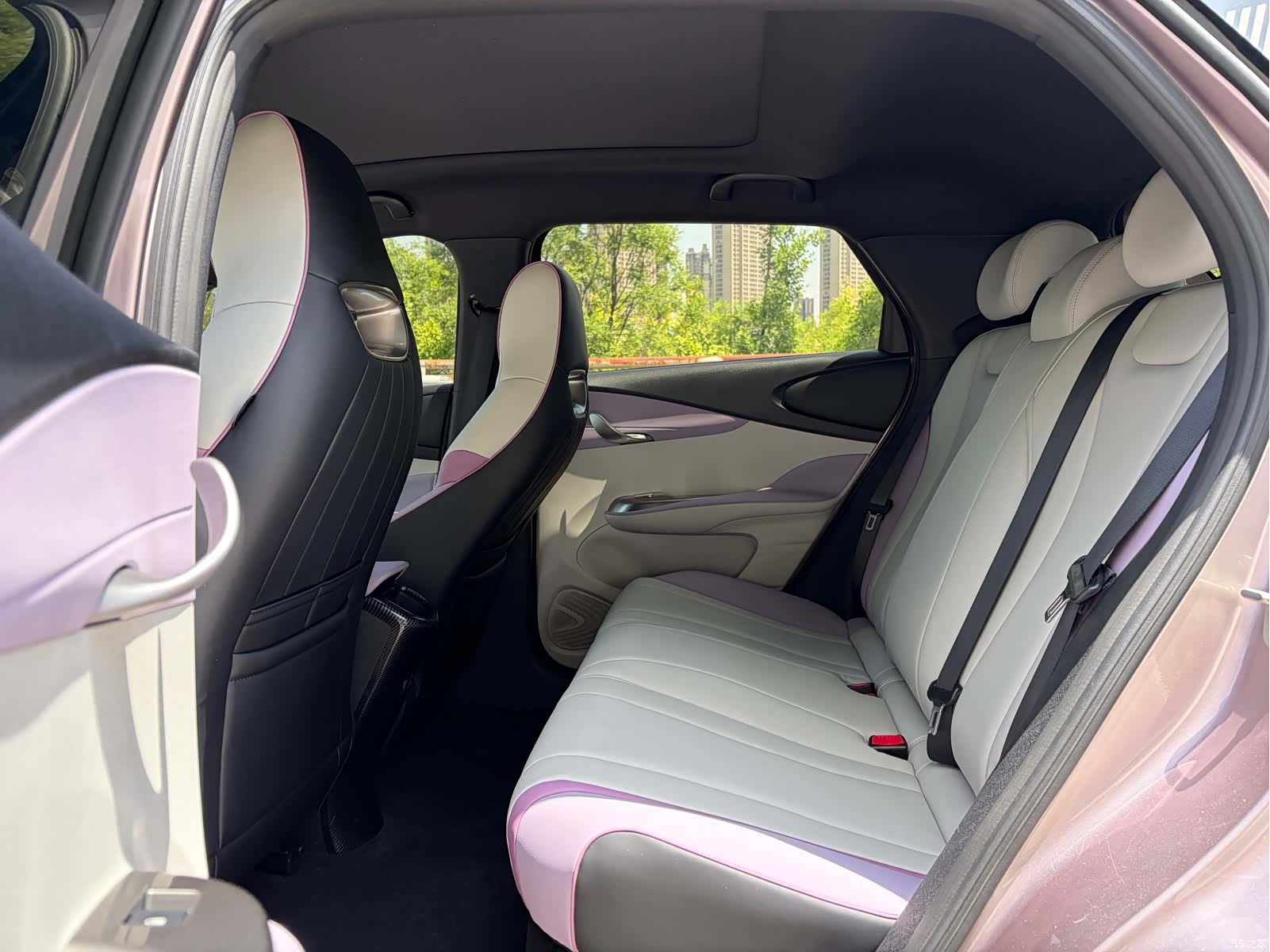 BYD Dolphin, 2022 все фото