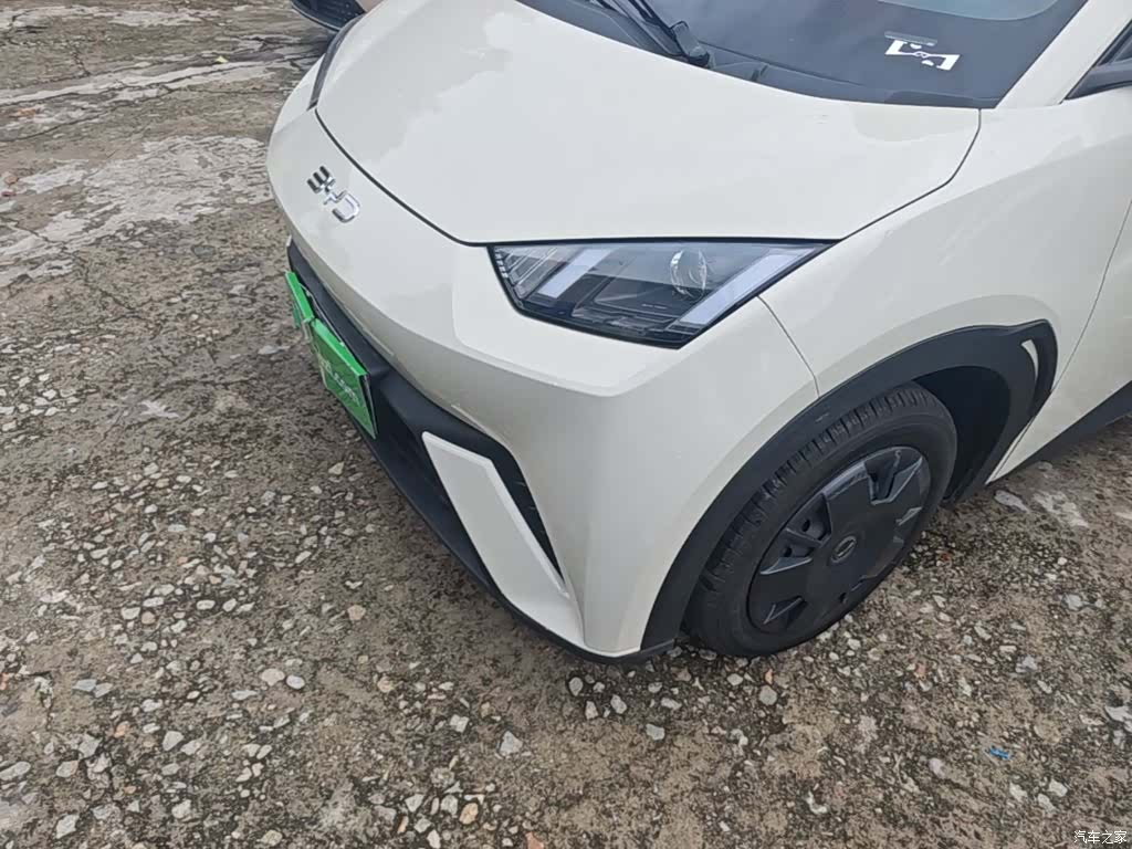 BYD Seagull, 2024 24
