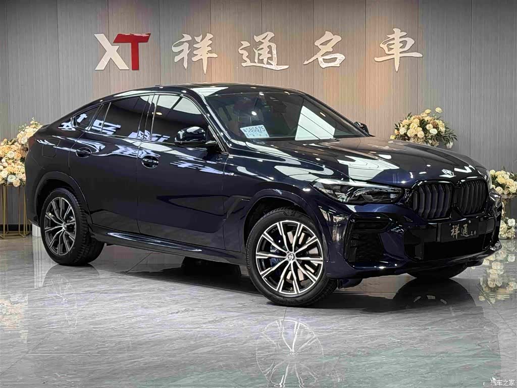BMW X6, 2023 3