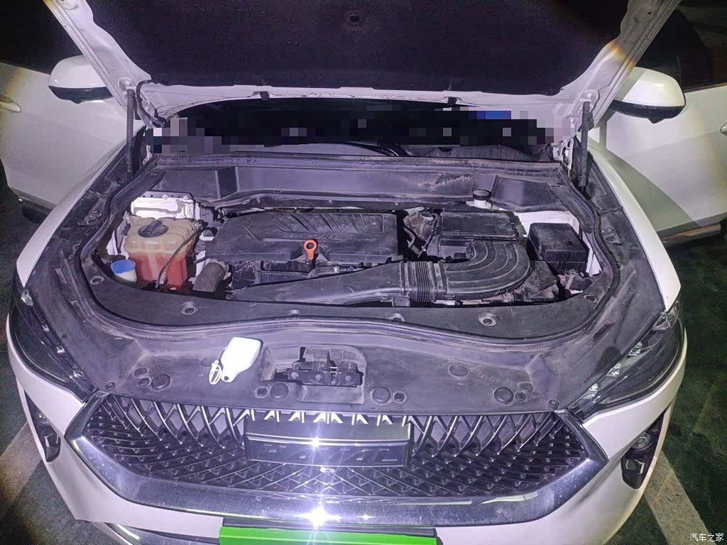 Haval F7, 2021 11