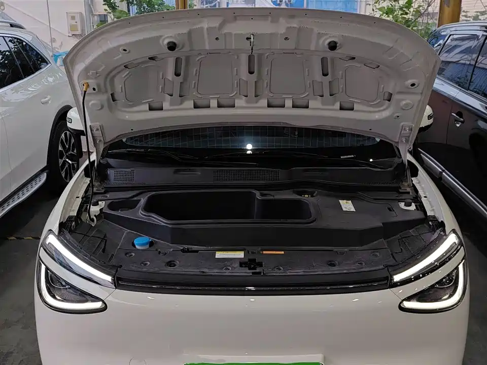 Dongfeng Nammi Nano 01