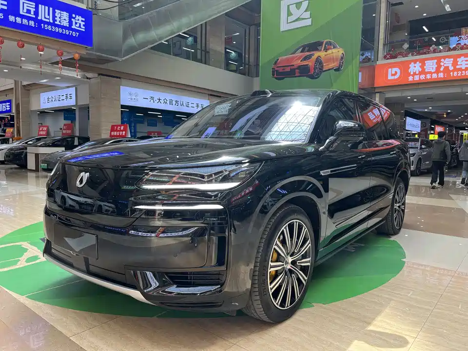 Denza N9