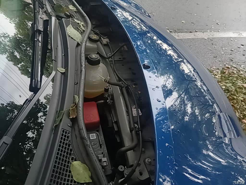 Smart Forfour, 2016 20