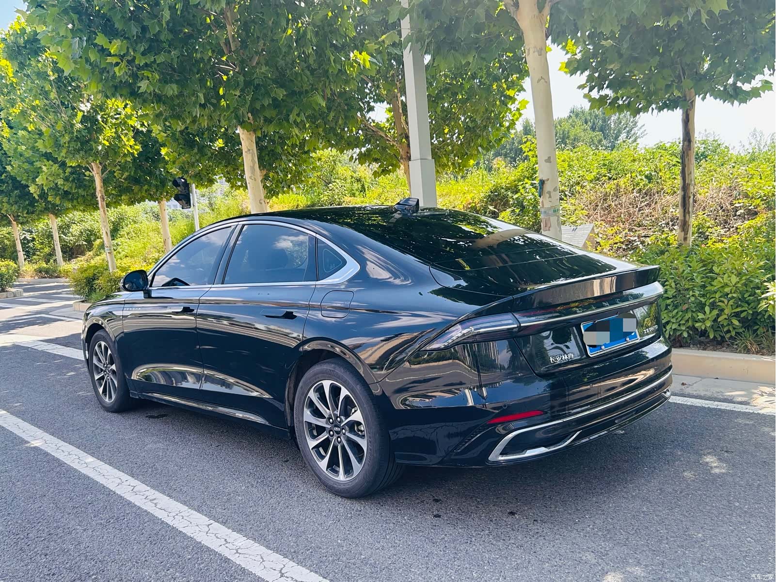 Lincoln Z, 2024 10