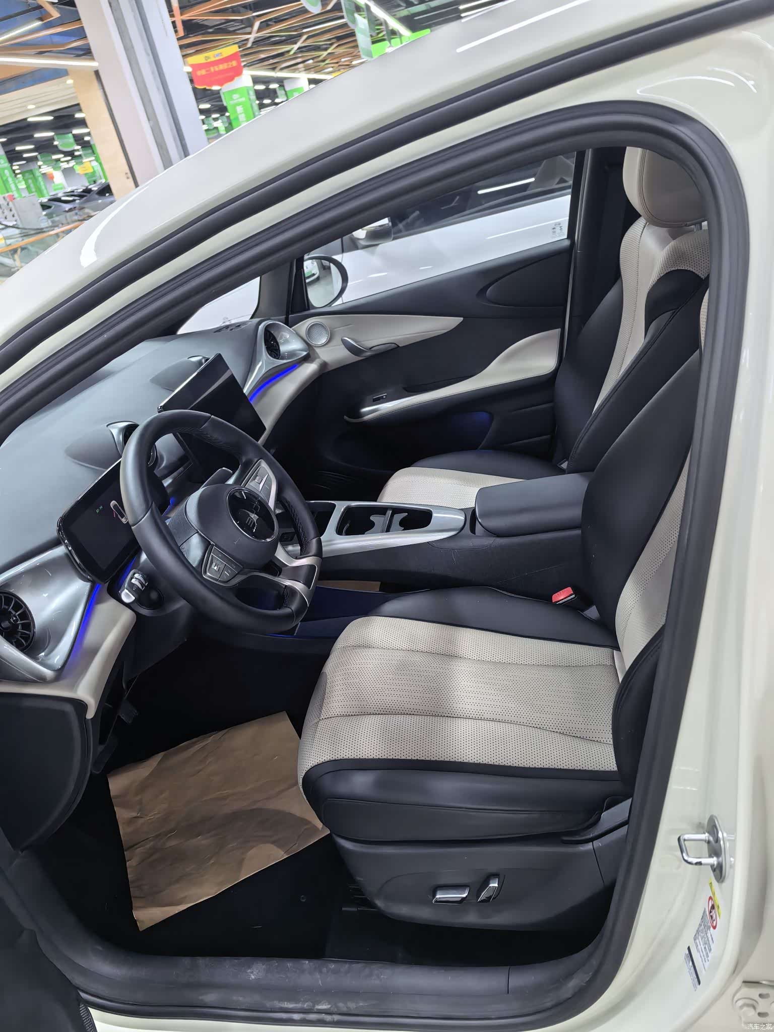 BYD Dolphin, 2025 4
