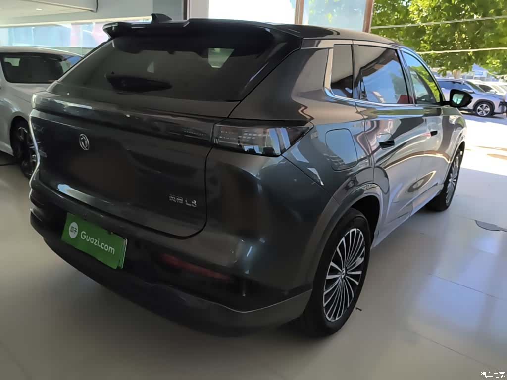 DongFeng L8, 2026 7