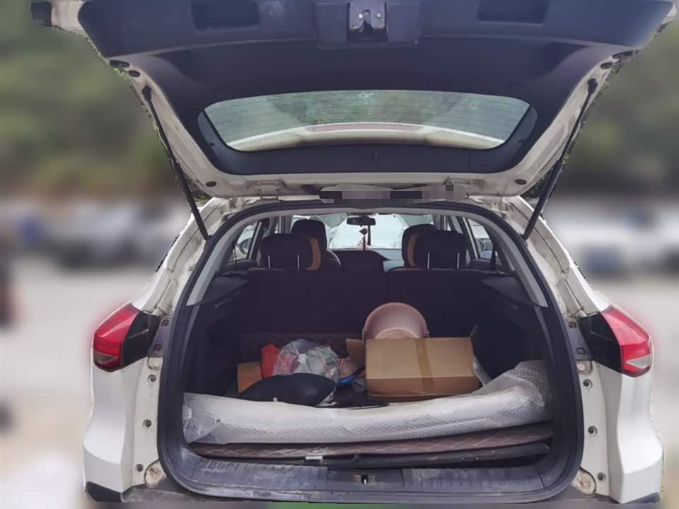 Leopaard Cheetah CS10