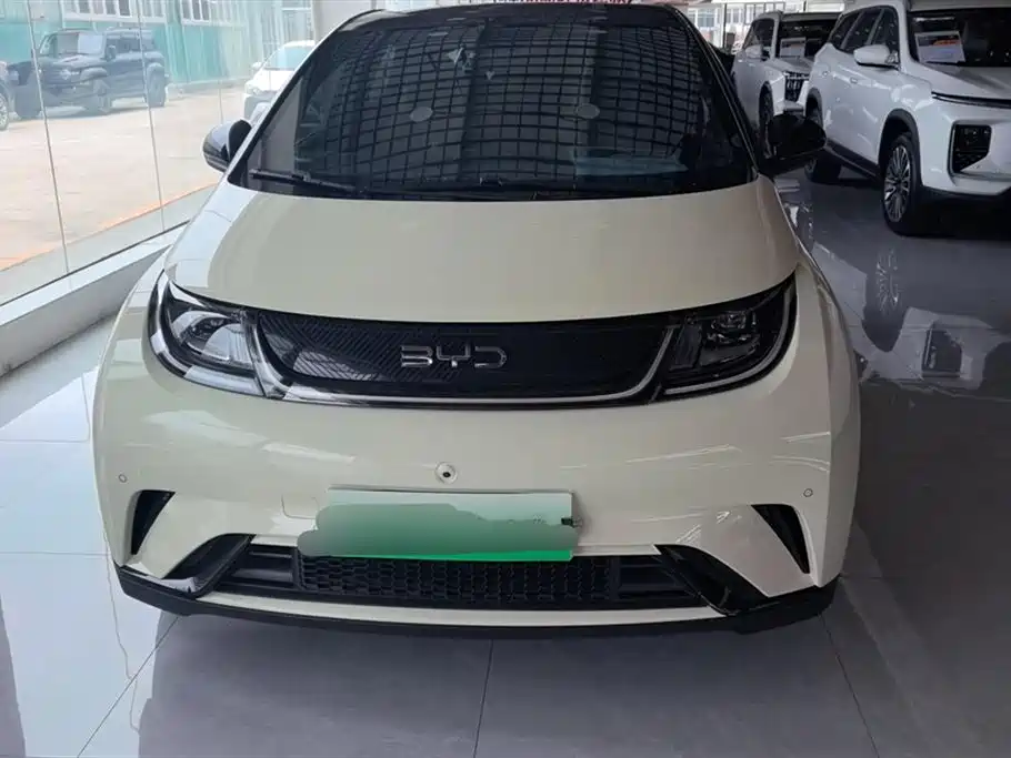 BYD dolphin