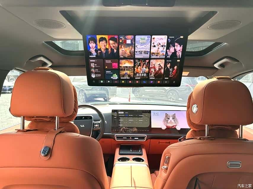 Li Auto L9, 2025 все фото