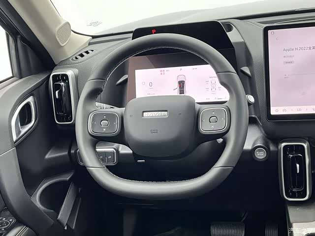 Haval Big Dog, 2025 23