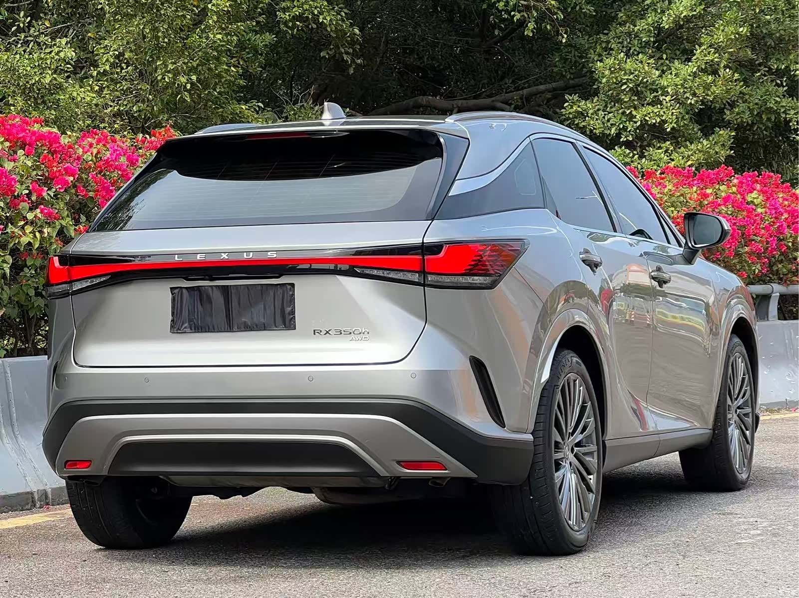 Lexus RX, 2023 19