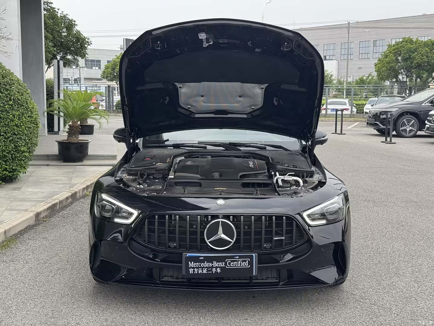 MG AMG, 2025 3