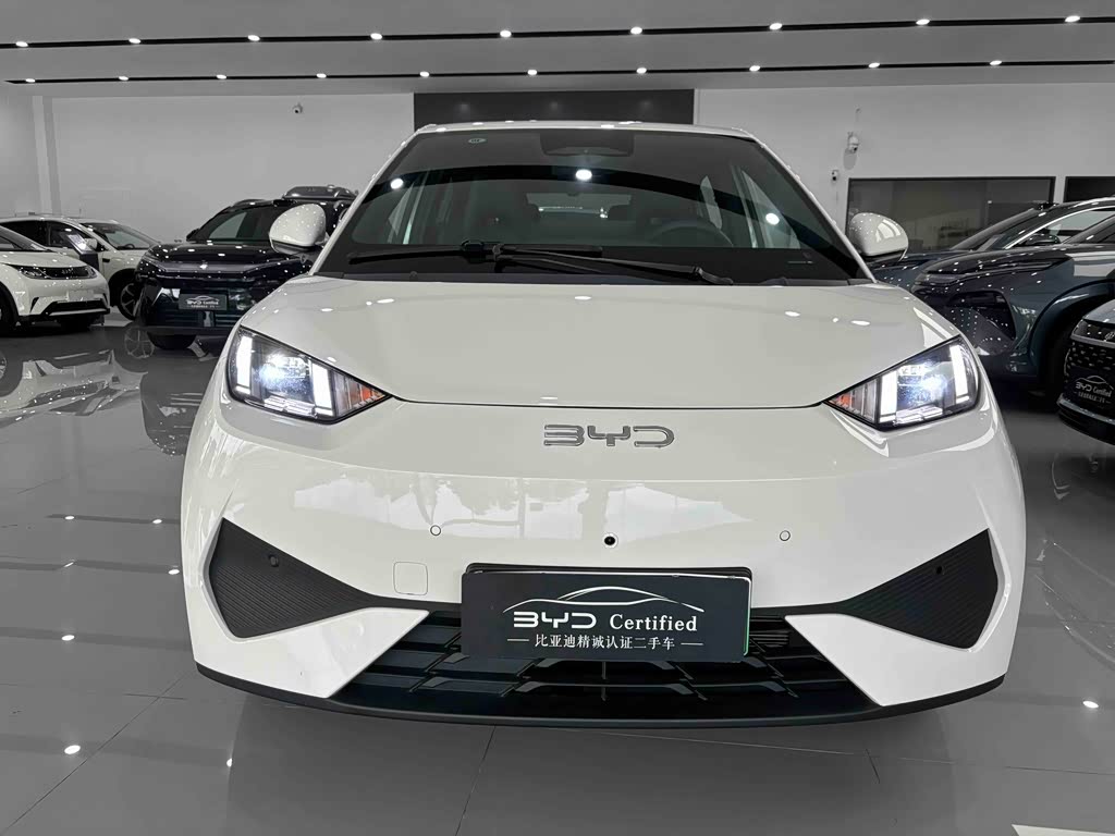 BYD Seagull