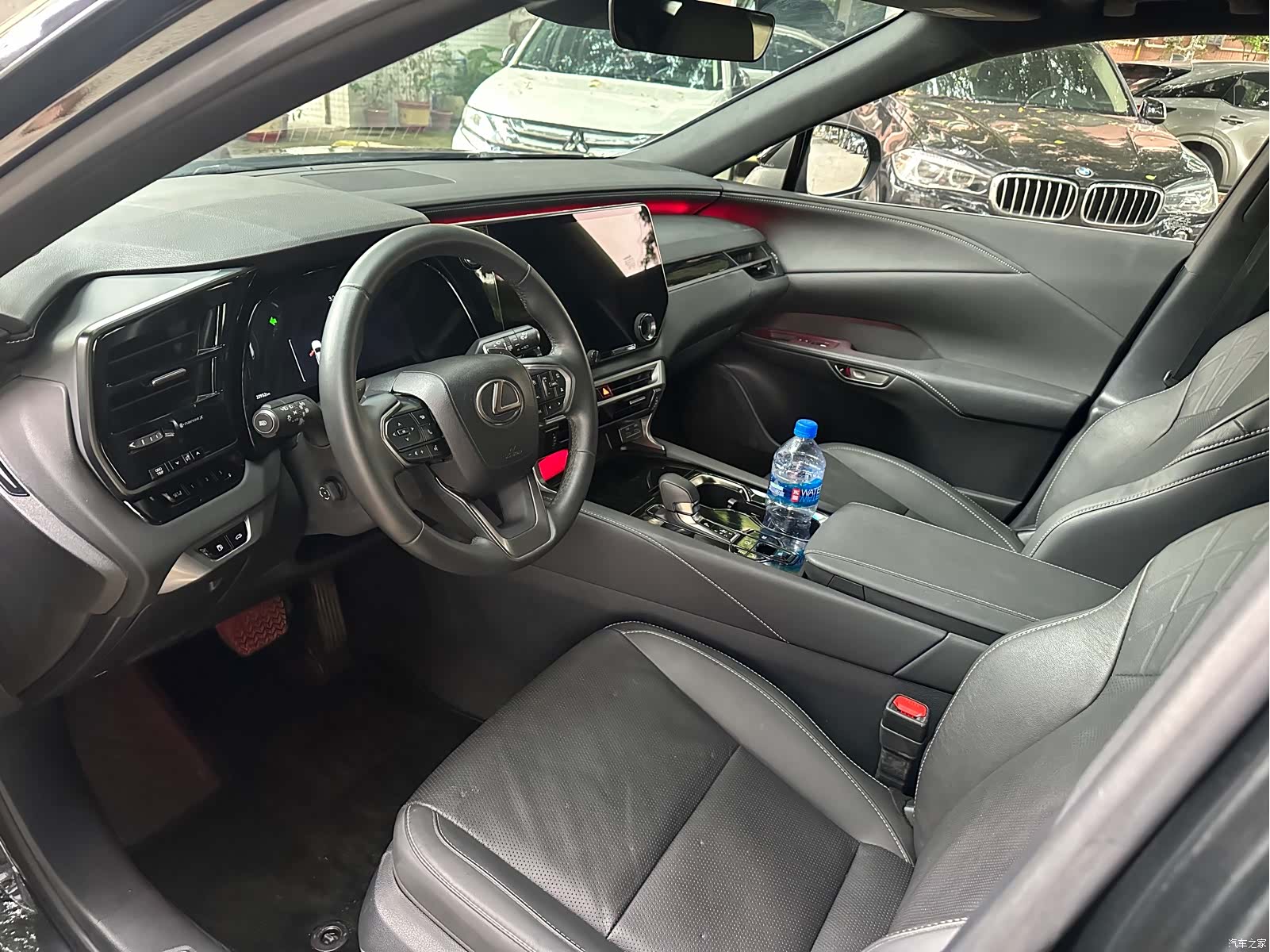Lexus RX, 2025 4
