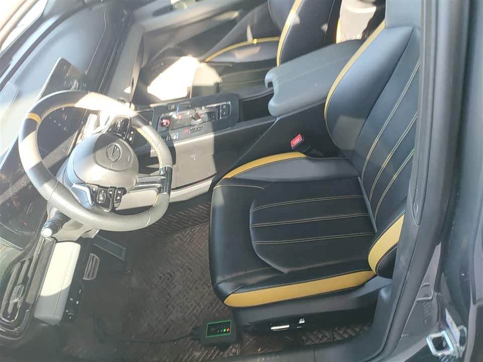 Trumpchi Shadow Leopard