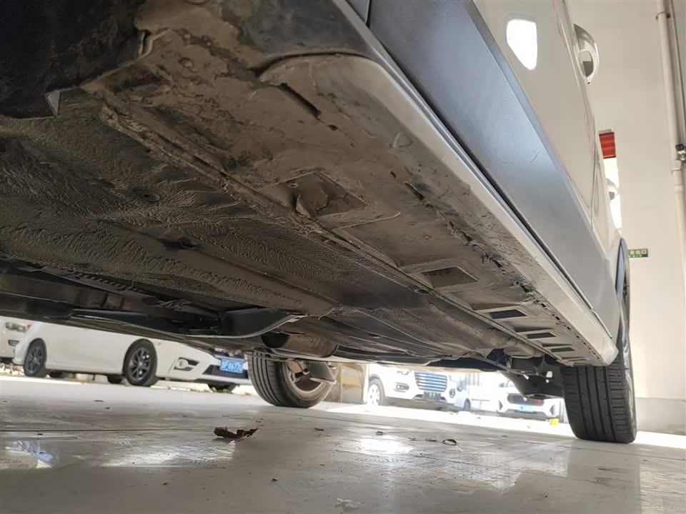 Volkswagen C-TREK Wei Collar