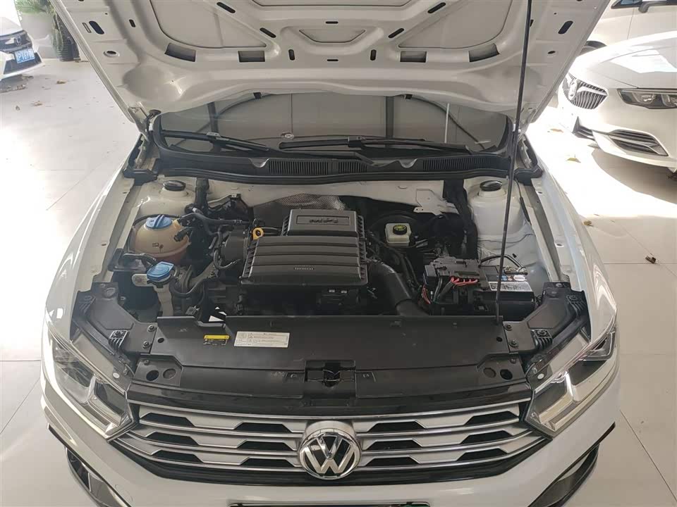 Volkswagen C-TREK Wei Collar