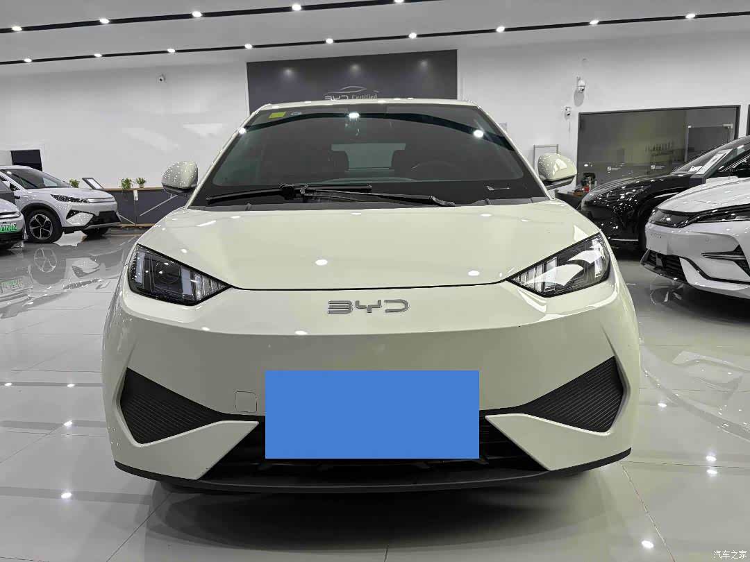 BYD Seagull, 2025 1