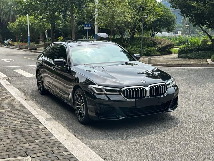 BMW 5 Series New Energy 2022, фото 8