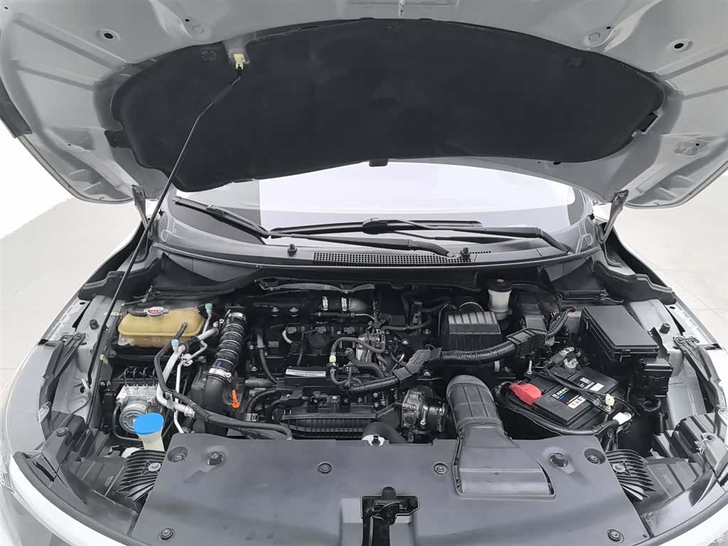 Honda V, 2019 6