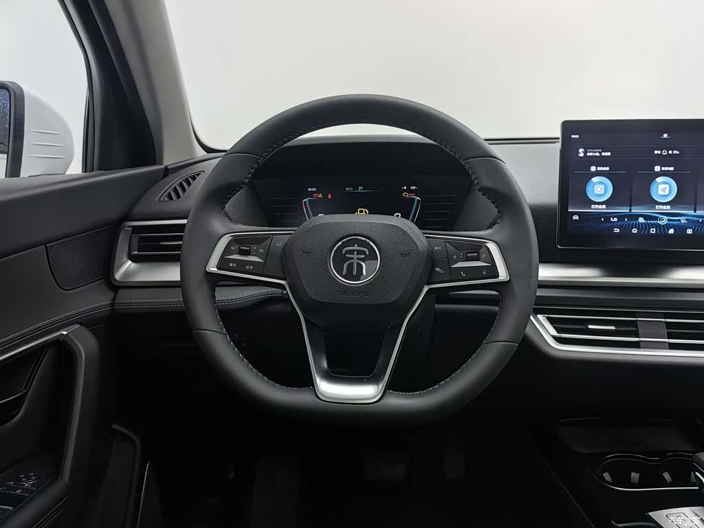 BYD Song, 2021 11