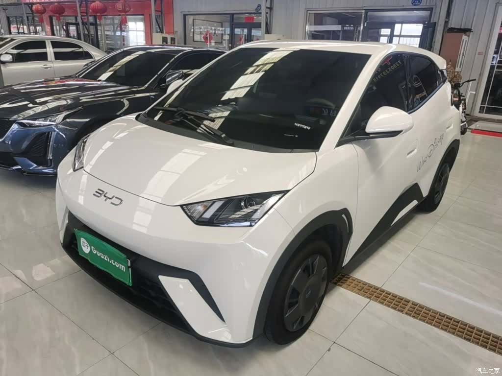 BYD Seagull, 2025 2
