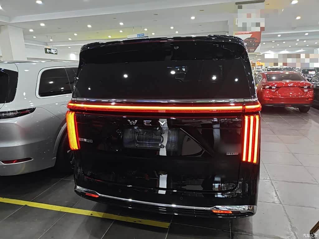 WEY Gaoshan, 2025 6