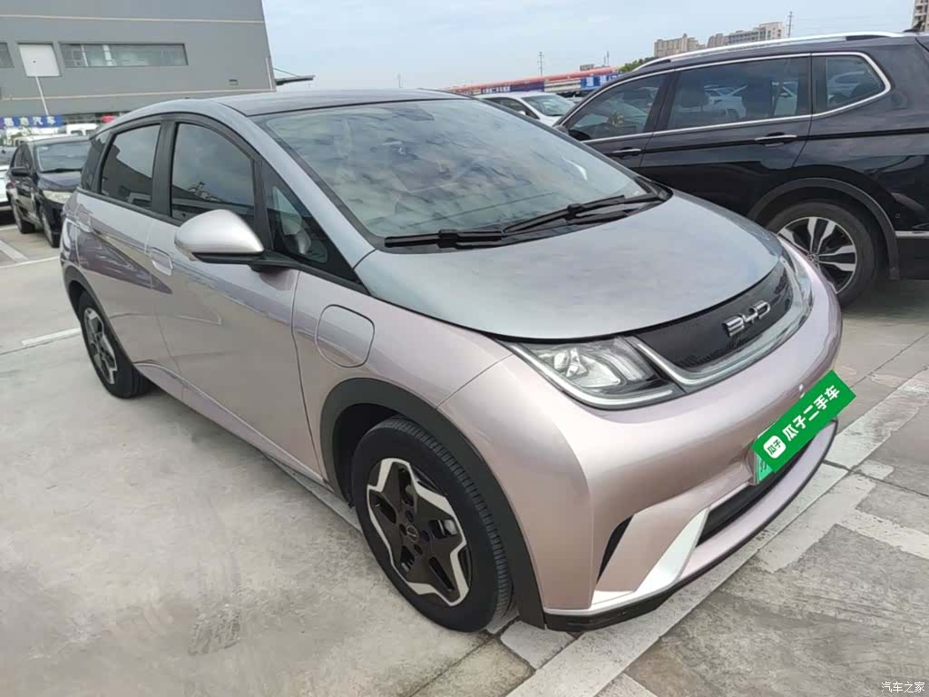 BYD Dolphin, 2022 4
