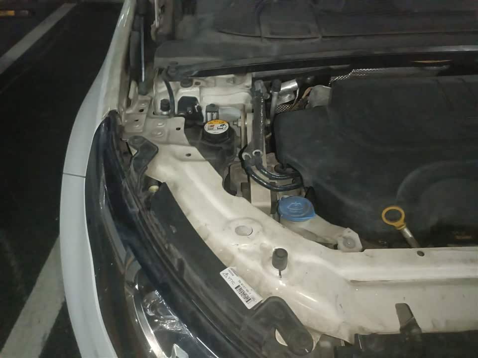 Land Rover Discover Shenxing