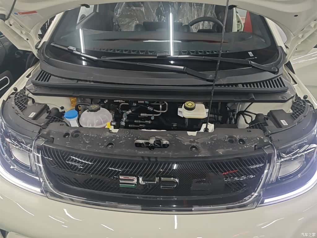 BYD Dolphin, 2026 20