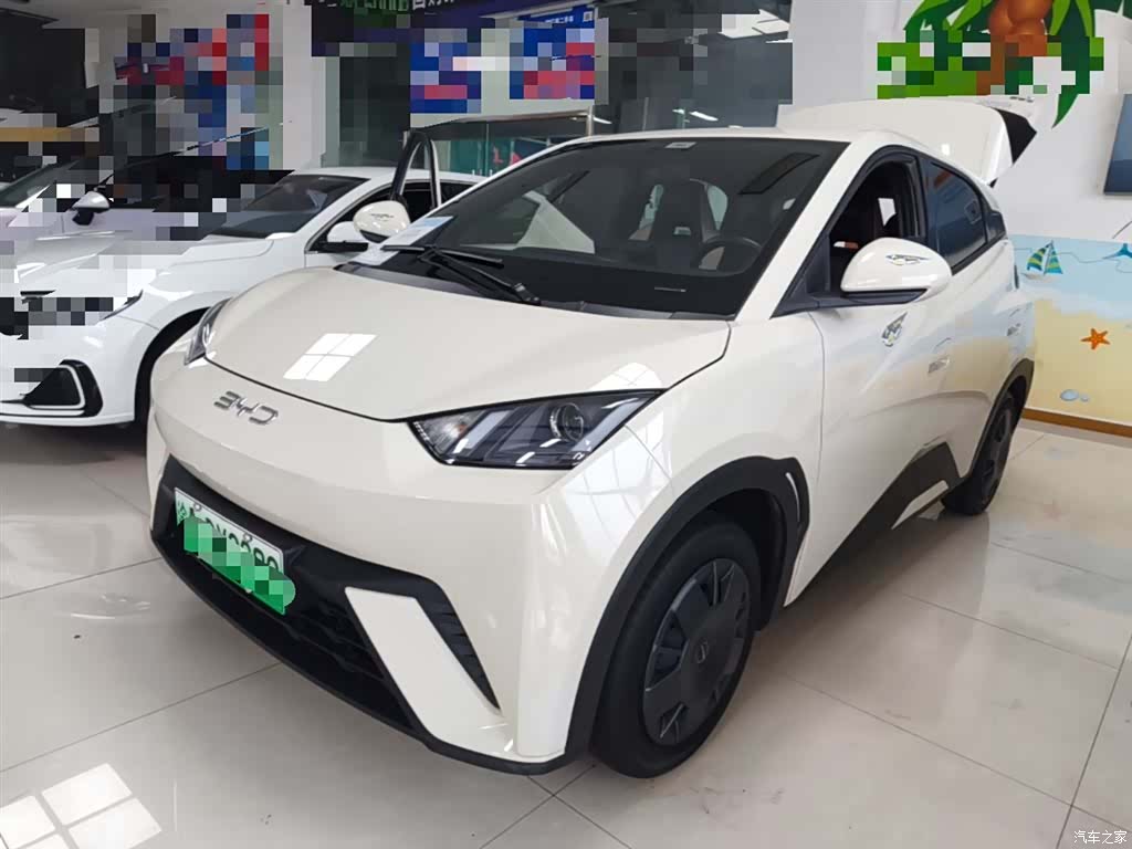 BYD Seagull, 2024 2