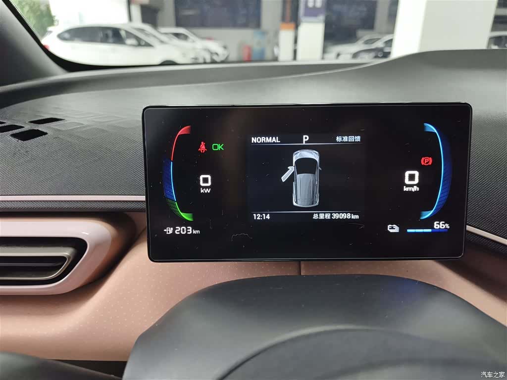BYD Seagull, 2024 12