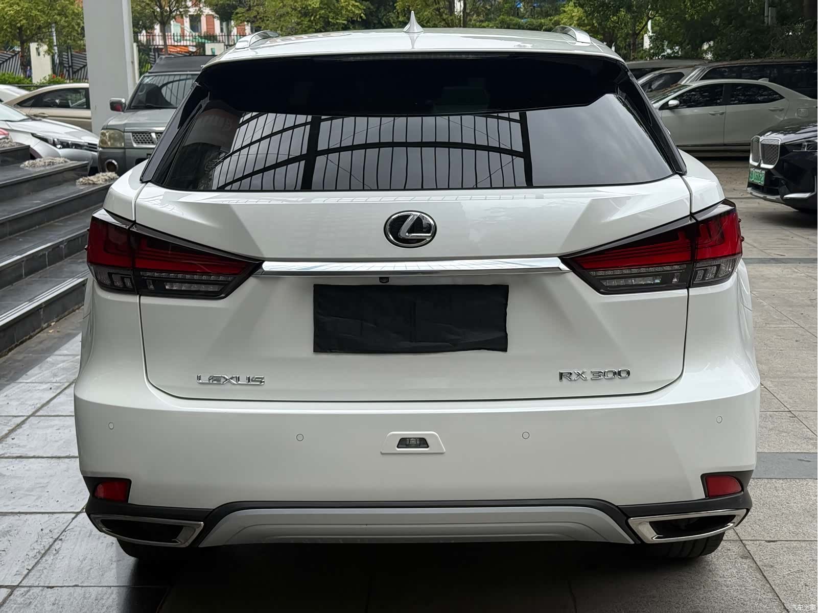 Lexus RX, 2025 8