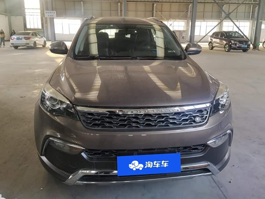 Leopaard Cheetah CS10