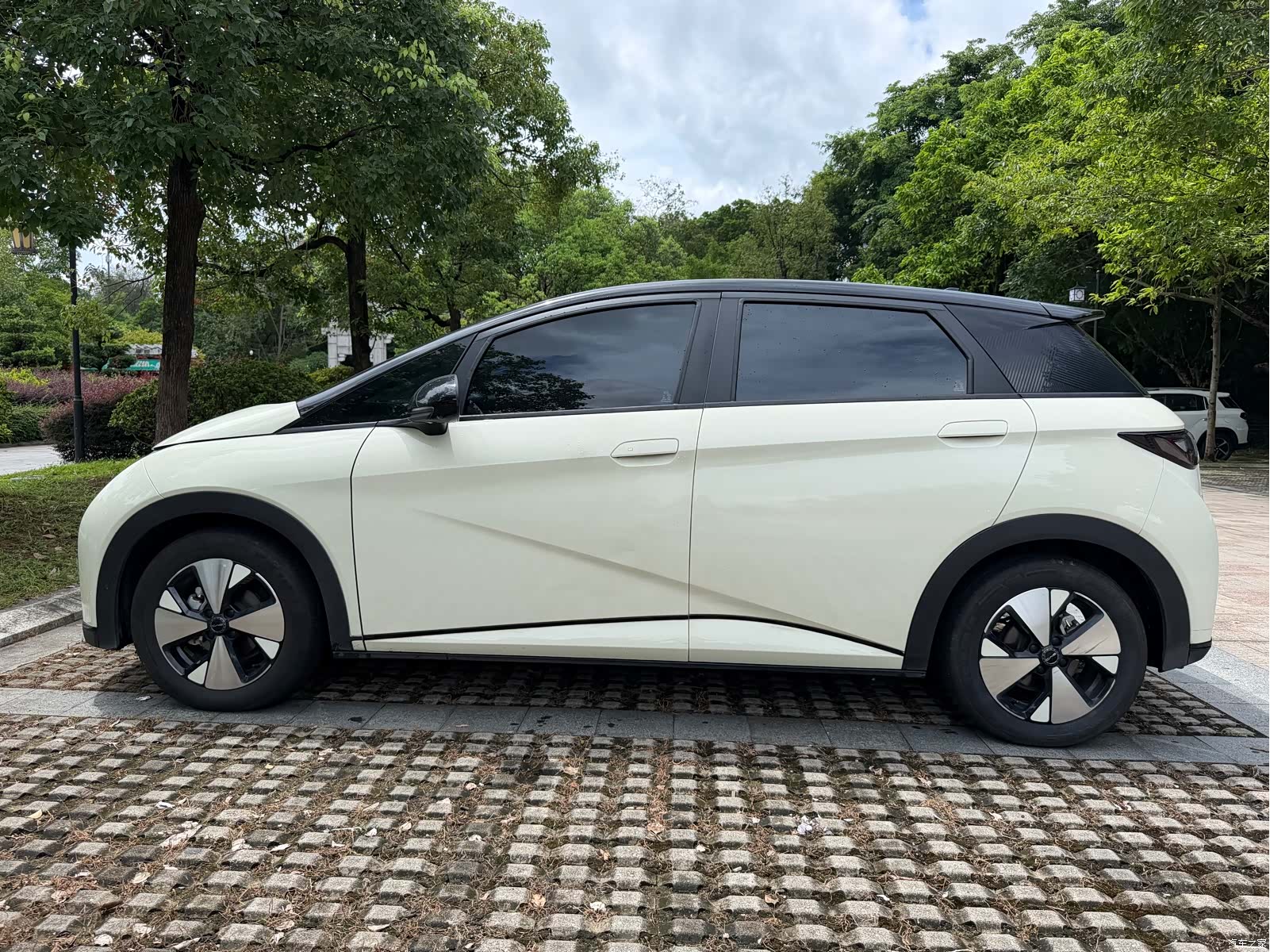 BYD Dolphin, 2024 12