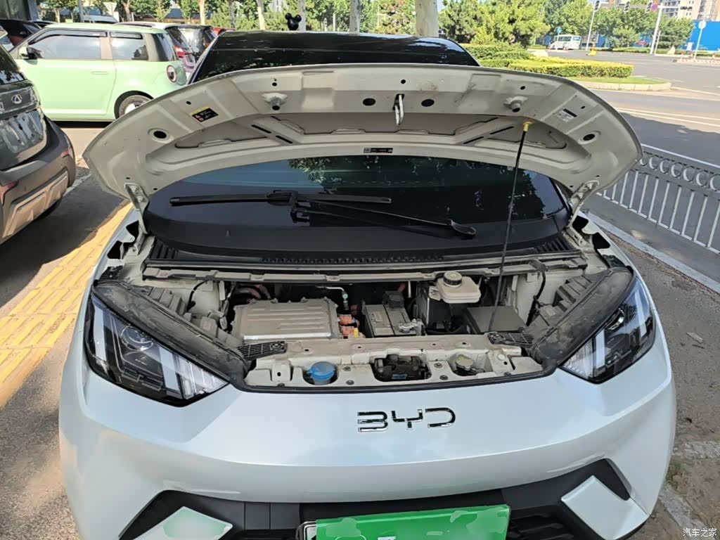 BYD Seagull, 2024 20