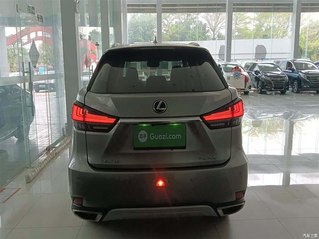 Lexus RX, 2022 4