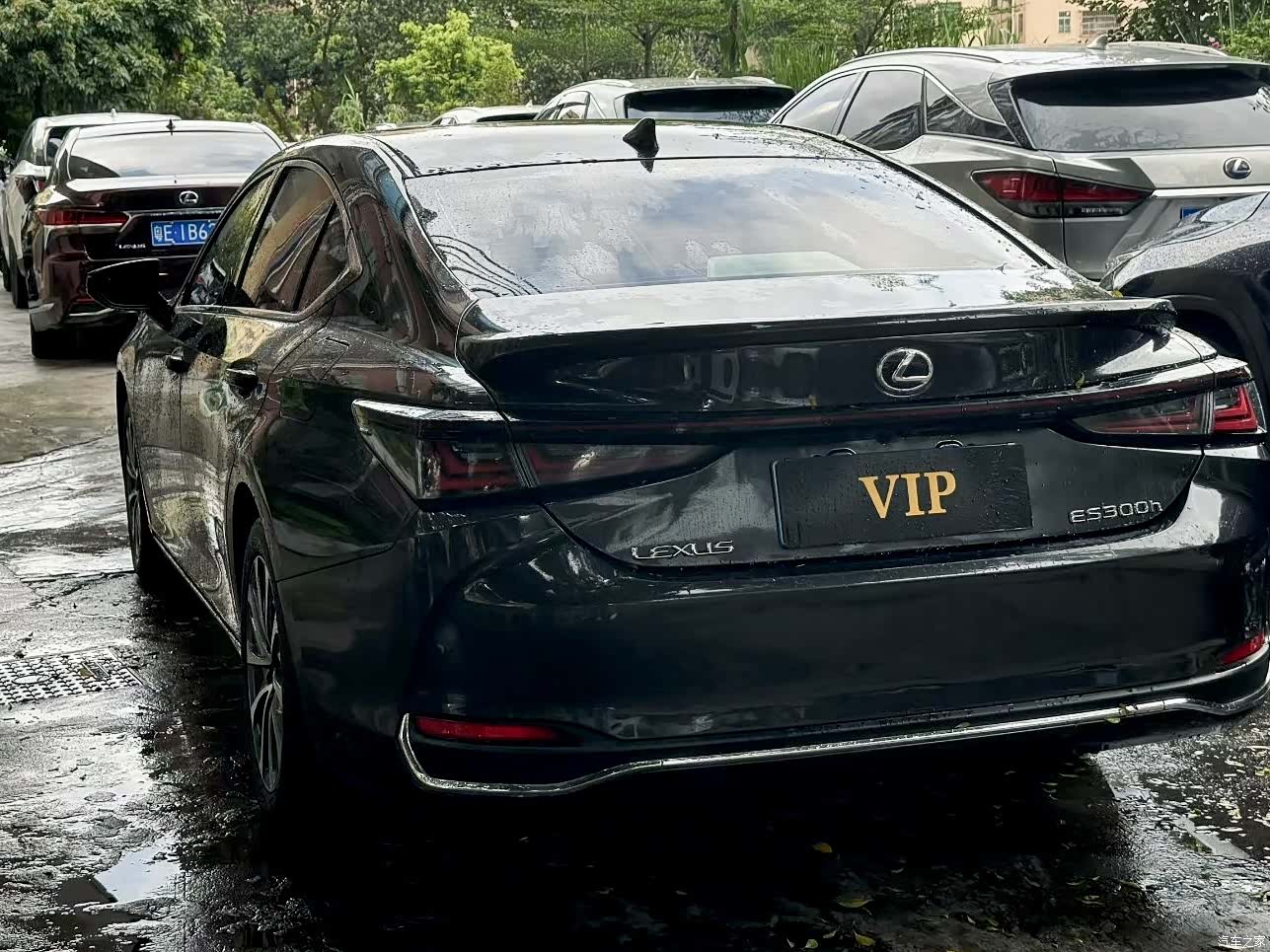 Lexus ES, 2025 8