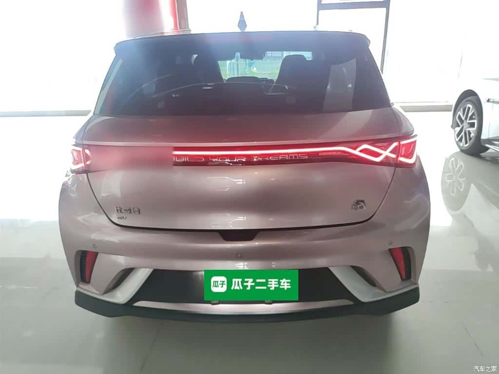 BYD Dolphin, 2021 6