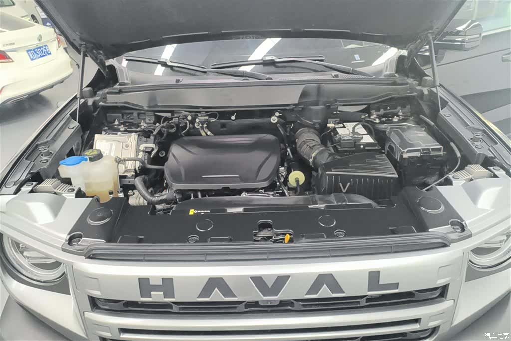 Haval Big Dog, 2024 10