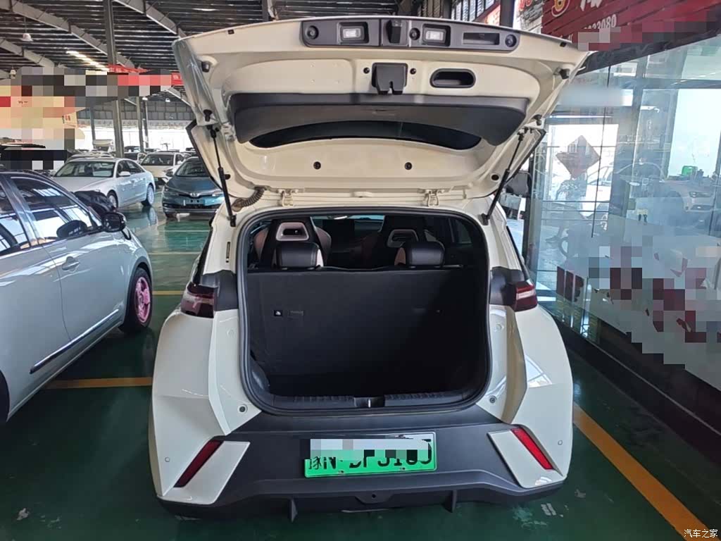 BYD Seagull, 2024 19