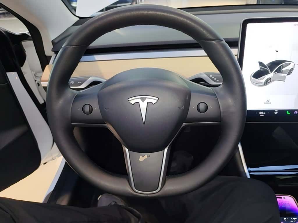 Tesla Model 3, 2020 11