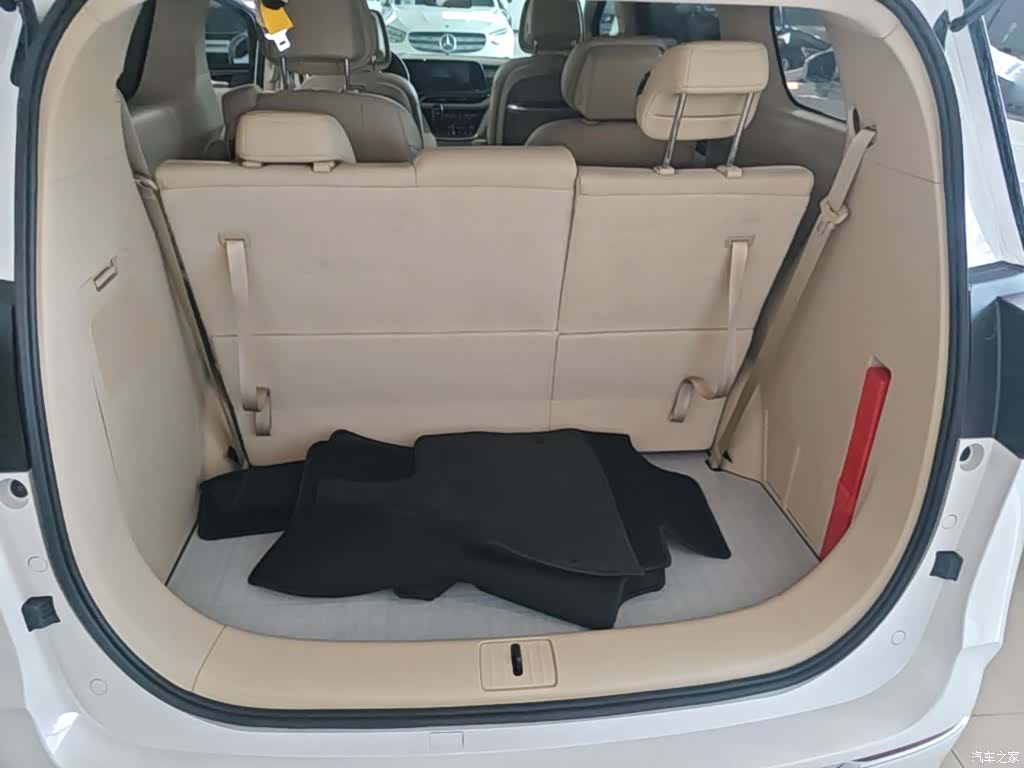 Buick GL8, 2022 19