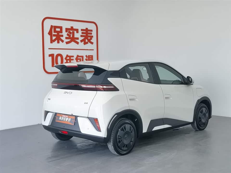 BYD Seagull