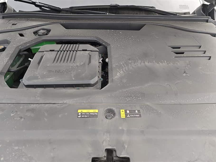 Trumpchi Trumpchi ES9