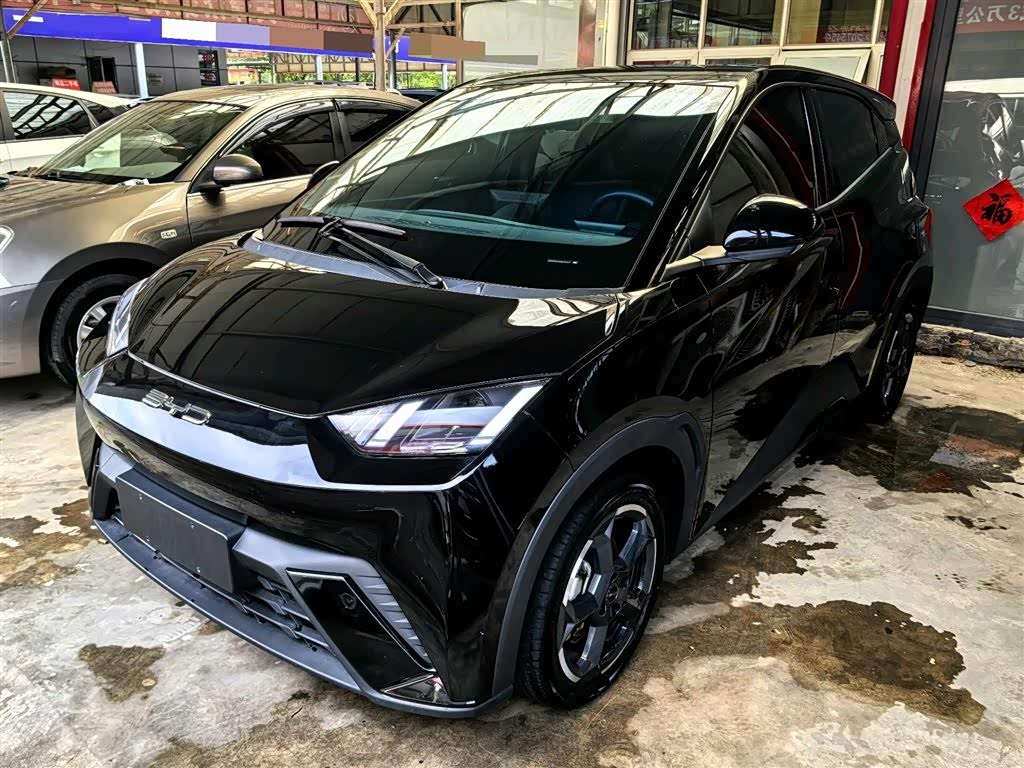 BYD Seagull